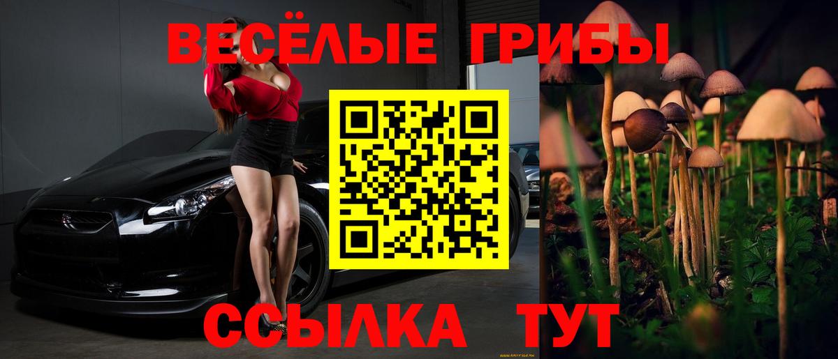Мурманск  Галлюциногенные грибы прущие грибы  Вход с VPN  Галлюциногенные грибы мицелий 